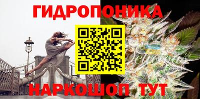 mdpv Лесосибирск