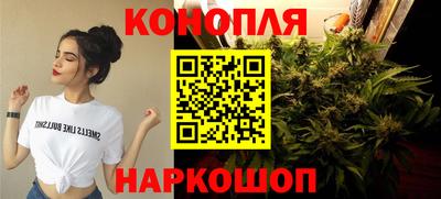 индика Ливны