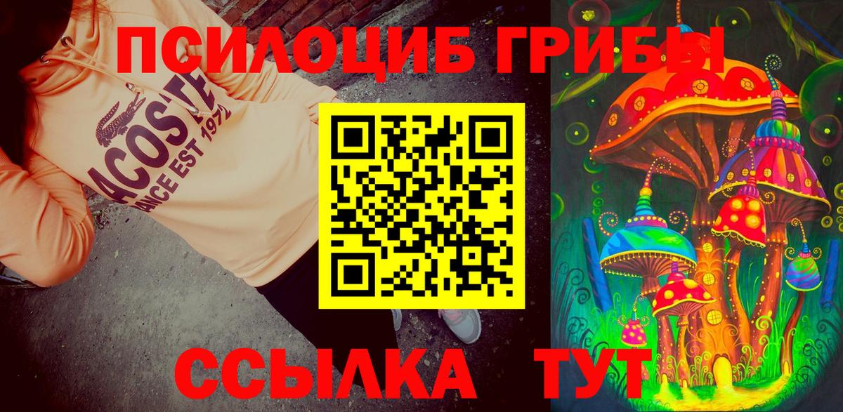 Галлюциногенные грибы мухоморы Тобольск